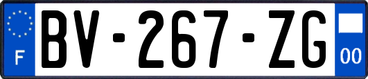 BV-267-ZG