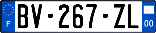 BV-267-ZL