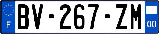 BV-267-ZM