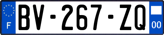 BV-267-ZQ