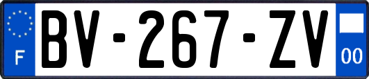 BV-267-ZV