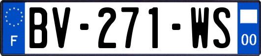 BV-271-WS