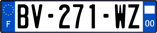 BV-271-WZ