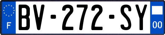 BV-272-SY