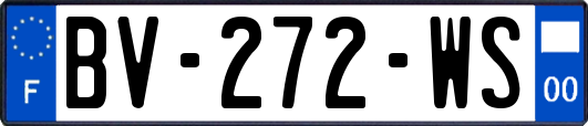 BV-272-WS