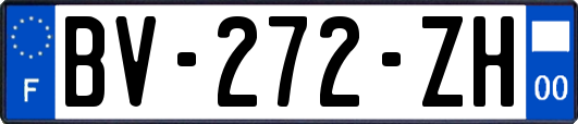 BV-272-ZH