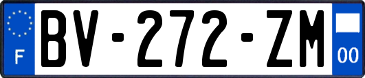 BV-272-ZM