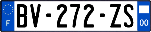 BV-272-ZS