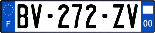 BV-272-ZV