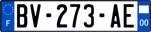 BV-273-AE