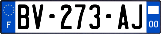 BV-273-AJ