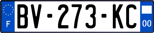 BV-273-KC