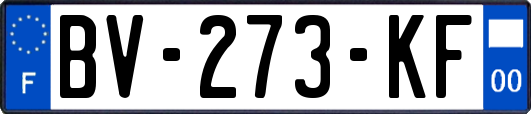 BV-273-KF
