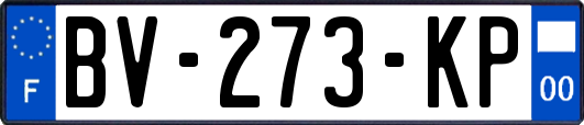BV-273-KP