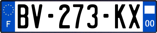 BV-273-KX