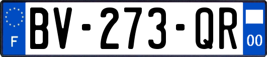 BV-273-QR