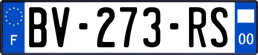 BV-273-RS