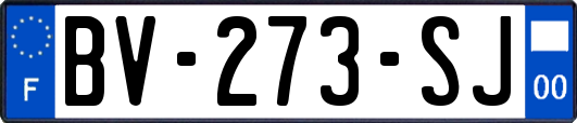 BV-273-SJ