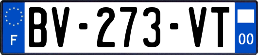 BV-273-VT