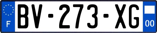 BV-273-XG