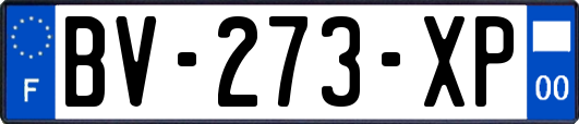 BV-273-XP