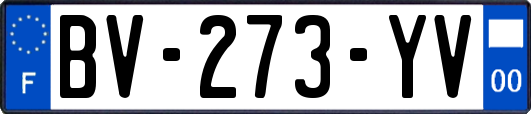 BV-273-YV