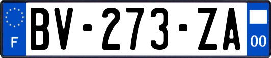 BV-273-ZA