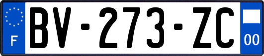 BV-273-ZC