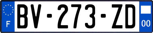 BV-273-ZD