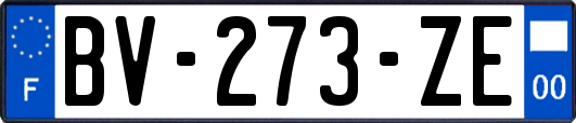 BV-273-ZE