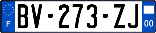 BV-273-ZJ