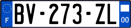 BV-273-ZL