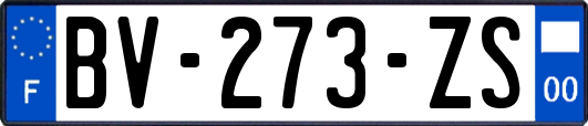 BV-273-ZS