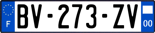 BV-273-ZV