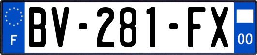 BV-281-FX