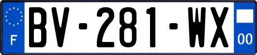 BV-281-WX