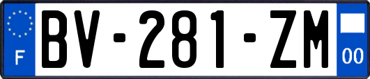 BV-281-ZM