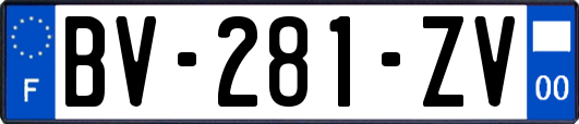 BV-281-ZV