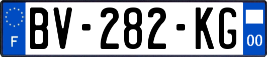 BV-282-KG