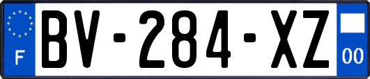 BV-284-XZ