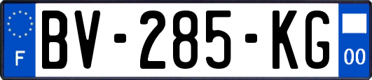 BV-285-KG