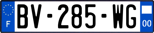 BV-285-WG