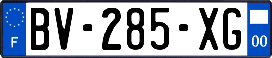 BV-285-XG