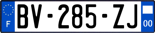 BV-285-ZJ