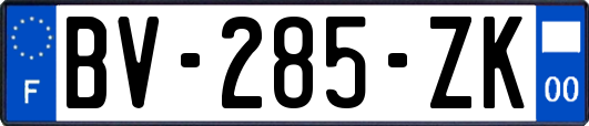 BV-285-ZK