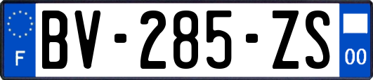 BV-285-ZS