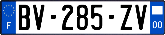 BV-285-ZV