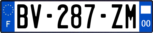 BV-287-ZM