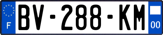 BV-288-KM