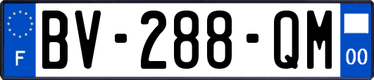 BV-288-QM